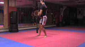 Tacfit Clubbell Training King Of Clubs Stay Fit Workout Exercise