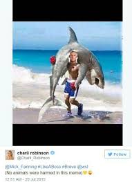 Tafel lager griquas vs cell c sharks 2018. The Internet Pokes Fun At Mick Fanning Fighting Off A Shark In J Bay 2oceansvibe News South African And International News