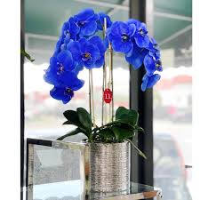 Join our wholesale discount program to receive a 20% discount code that you can use on all your orders over $50. Chan S Silk Flowers Home Facebook