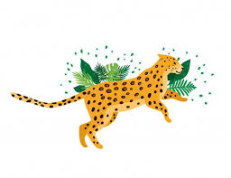 Leopard Isolated In White Background In 2020 Big Cats Art Cat Art Illustration Jungle Illustration