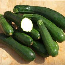 We did not find results for: Courgette Zucchini Buy Organic Seeds Online Sativa Online Shop