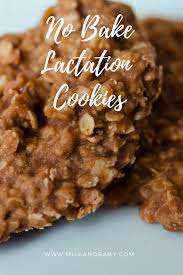 No Bake Lactation Cookies Recipe Lactation Recipes Lactation Cookies Recipe Lactation Cookies