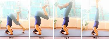 Janu sirsasana or the head to knee pose is an excellent asana to increase flexibility of the hamstring muscles, back, thighs, hip joints, arms and the. Yoga Headstand Salamba Shirshasana Anatomy And Alignment Yoga With Sapna