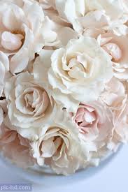صور ورود أجمل صور خلفيات ورد للهاتف أجمل الورود الطبيعية White Spray Roses Spray Roses Wedding Flower Girl Basket