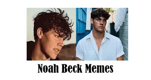 Tiktok memes | тикток запись закреплена. Noah Beck Memes And Profile Picture On Tiktok Brunchvirals