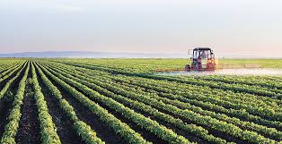 Mp teren teren intabulat , bun pentru agricultura sau constructii , vand teren vand teren extravilan in com. Sfatul Avocatului PreÅ£ul Normativ Al PÄmantului Vocea Poporului