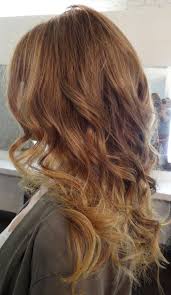 Golden Dark Blonde Hair Beauty Hair Light Brown Hair