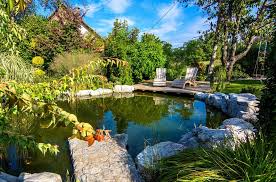 We did not find results for: Naturliche Wasserreinigung Im Schwimmteich Auf Die Pflanzen Kommt Es An