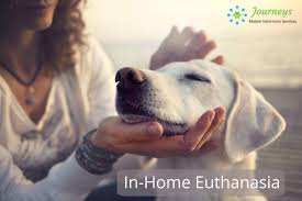 Your regular vet will often perform this procedure at their office or clinic, but it can often be done at home. In Home Euthanasia Journeys Mobile Veterinary Services