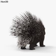 Porcupine Hd Cinema 4d Porcupine 3d Model