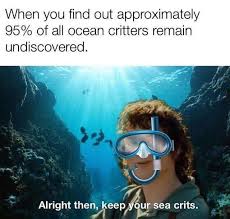Sea Crits Funny Memes Laughing So Hard Funny Relatable Memes