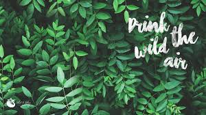 Potted green plant on white surface, aesthetic, table, vase. Green Aesthetic Backgrounds 2021 Wallpaper Aesthetic