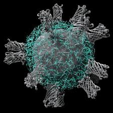 Image result for Biological Agent