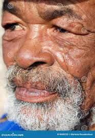 346 Beard Papa Stock Photos