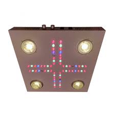 Check spelling or type a new query. Optic 4xl 460 Optic 8 Cob Led
