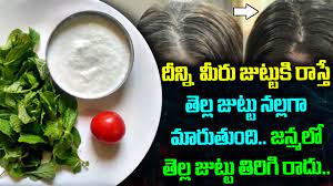 Turn White Hair To Black Hair Naturally In Telugu White Hair Tips In T Hair Tips In Telugu Natural Hair Styles White Hair Solution
