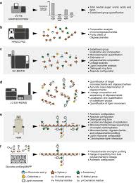 White kitchen sink materials compared with a eukaryotic cell is. Combined Whole Cell Wall Analysis And Streamlined In Silico Carbohydrate Active Enzyme Discovery To Improve Biocatalytic Conversion Of Agricultural Crop Residues Biotechnology For Biofuels Full Text