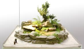 Adoptez les 5 plantes incontournables du jardin japonais : Jardin Japonais Miniature Interieur Ou La Rigueur L Ordre Et L Esthetisme Regnent