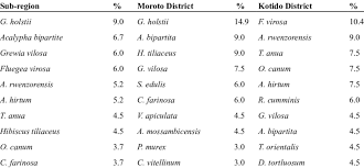 Image result for Grewia holstii