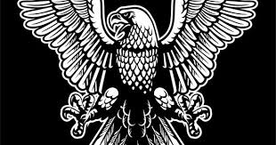 Black And White Eagle Clipart Images Eagle Black And White Vector Image On Ilustraciones Fotos Chidas