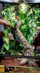 Exo Terra Looking For Ideas To Decorate Your Exo Terra Reptile Terrarium Gecko Terrarium Crested Gecko