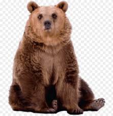 Free Png Bear Png Images Transparent Grizzly Bear Png Image With Transparent Background Toppng 259 bear transparent png or svg bear 259. free png bear png images transparent