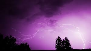 Trend Google: meteotrentino