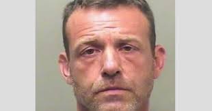 Former Central Illinois teacher pleads not guilty to child rape, battery  charges in Nashville