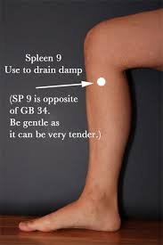 Dealing With Dampness August Newsletter Acupressao Pontos De Acupuntura Acupuntura