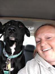 Lost dog named Buddy in Indianapolis area