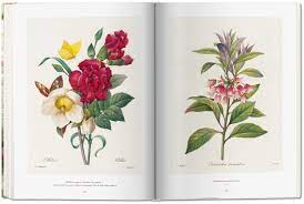 Shop for redoute wall art from the world's greatest living artists. Redoute Das Buch Der Blumen Taschen Verlag