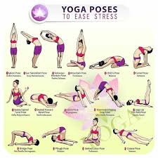 Pin On Yoga