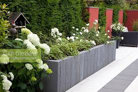 Using cinderblocks is another great solution for a raised garden bed and is very cost effective as well. Modern Paved Garden Stock Photo By Elke Borkowski Image 0309790