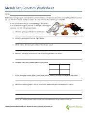For every trait a person have, two alleles determine how that trait is expressed. Mendelian Genetics Worksheet Pdf Mendelian Genetics Worksheet