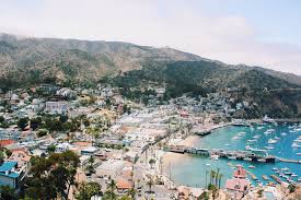 Decades of discarded chemicals in thousands of barrels. Click Boat S Guide To Exploring Santa Catalina Island California