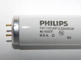 We did not find results for: Philips 40w 48in T12 Plant Grow Fluorescent Tube F40 Plant Bulbs Com