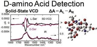 Aki nishimoto fbb / vietnamese 2014 contest. Solid State Vibrational Circular Dichroism Studies On The Conformation Of An Amino Acid Molecule In Crystalline State Sciencedirect
