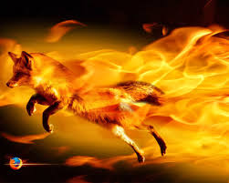 Download animated wallpaper, share & use by youself. 12 Anime Fire Wallpaper Free Download