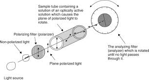 Image result for Polarized Microscopy