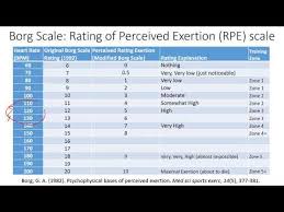 Borg Rating Of Perceived Exertion Rpe Scale Application