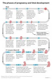 ohio heartbeat bill would ban abortions before women detect