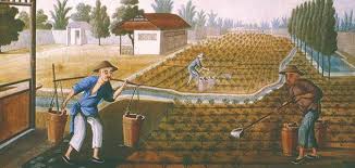 The British East India Company | Expansion of Tea as a Commodity: 1450-1914