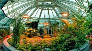 Check spelling or type a new query. What Are High Pressure Sodium Grow Lights And What Do They Do Home N Gardening Tips