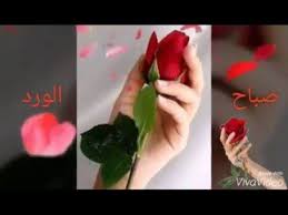 Pin On صباح الخير