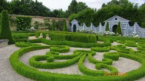 Pin On Boxwood Knotengarten