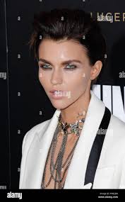 Ruby rose where hi-res stock photography and images