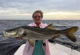 Well at this particular location it's quite a bit different. Snook Fishing Charters Floridas Best Snook Fishing