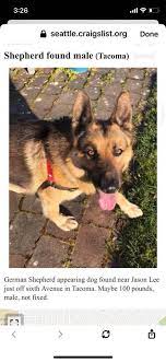 We did not find results for: Https Seattle Craigslist Or Tacoma S Lost Found Pets 2 Facebook