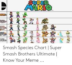 Super Mario Tm Smash Y Super Ashbras Super Asheres Brank