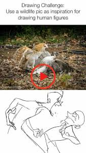 Pin On Art By Me And Other People